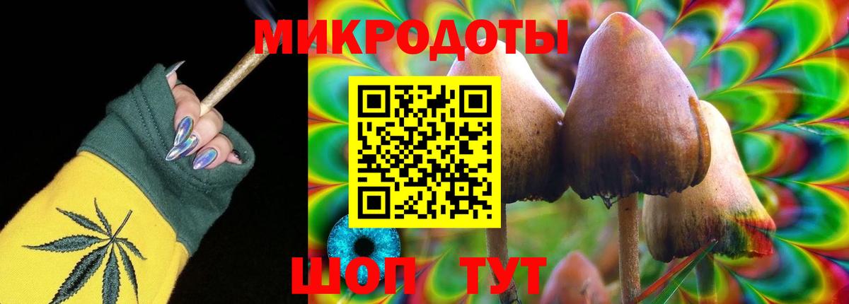 Учалы  Псилоцибиновые грибы MAGIC MUSHROOMS  Вход с VPN  Галлюциногенные грибы Psilocybine cubensis 